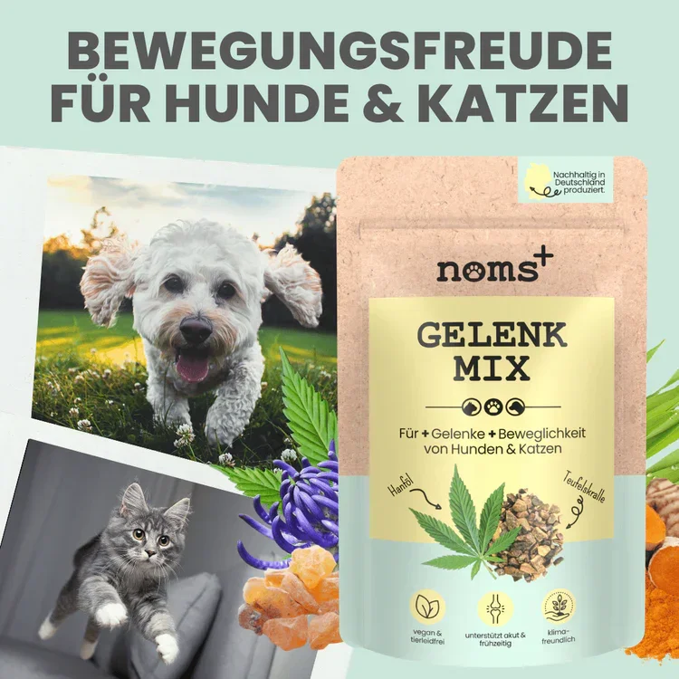 Noms+ Gelenkmix mit Teufelskralle, Kurkuma & Glucosamin für Hunde & Katzen | Unterstützt akut & frühzeitig | 100% vegan & tierleidfrei
