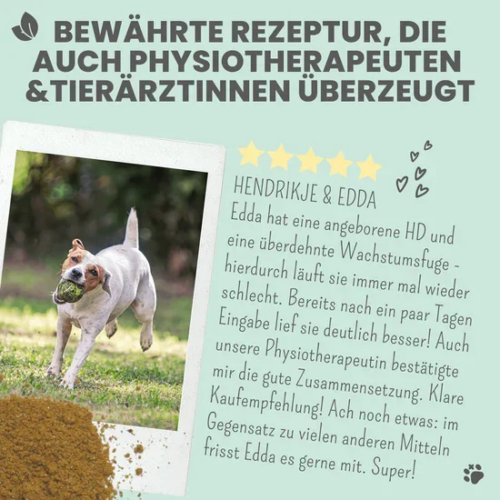 Noms+ Gelenkmix mit Teufelskralle, Kurkuma & Glucosamin für Hunde & Katzen | Unterstützt akut & frühzeitig | 100% vegan & tierleidfrei