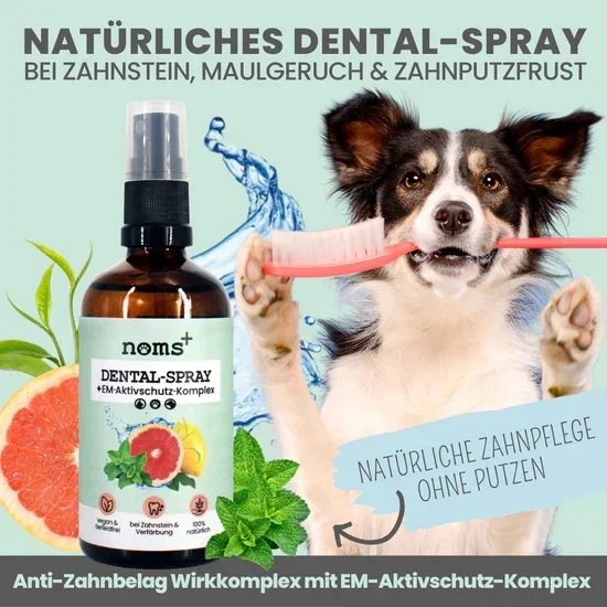 Natürliches Noms+ Zahnpflege Trio | Dentalspray - Zahncreme - Fingerling | 100% vegan & tierleidfrei