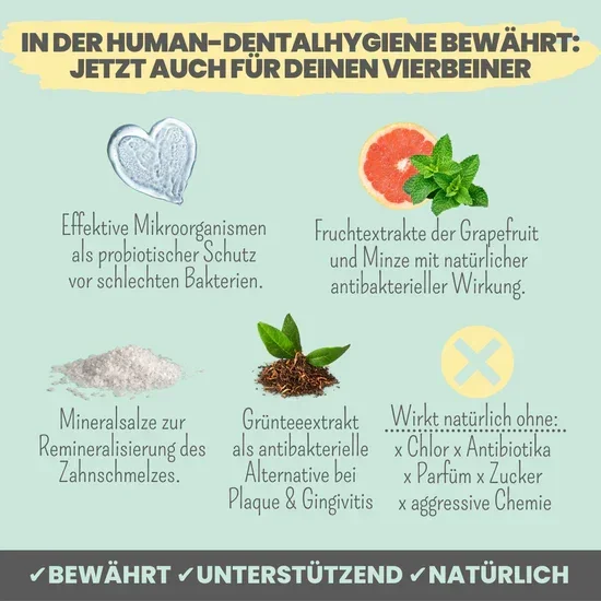Natürliches Noms+ Zahnpflege Trio | Dentalspray - Zahncreme - Fingerling | 100% vegan & tierleidfrei