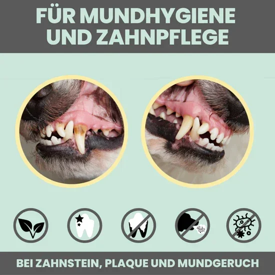 Natürliches Noms+ Zahnpflege Trio | Dentalspray - Zahncreme - Fingerling | 100% vegan & tierleidfrei
