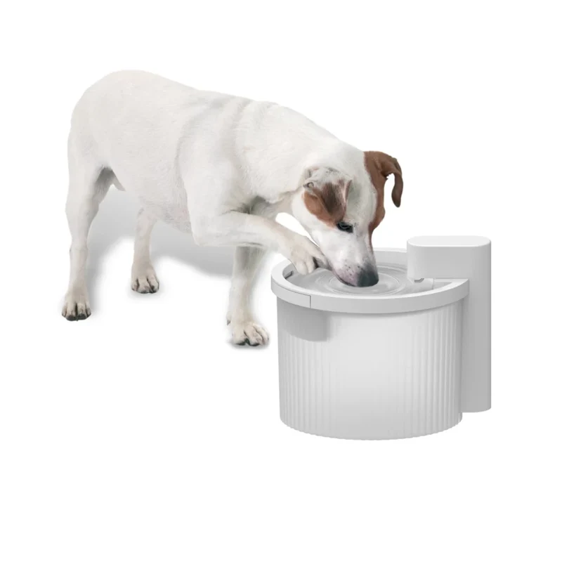 Lifestyle 4 Pets Trinkbrunnen Kabellos
