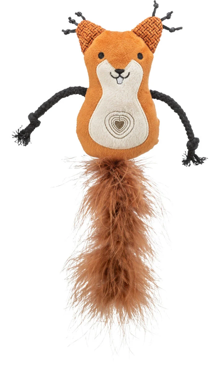 Eichhörnchen