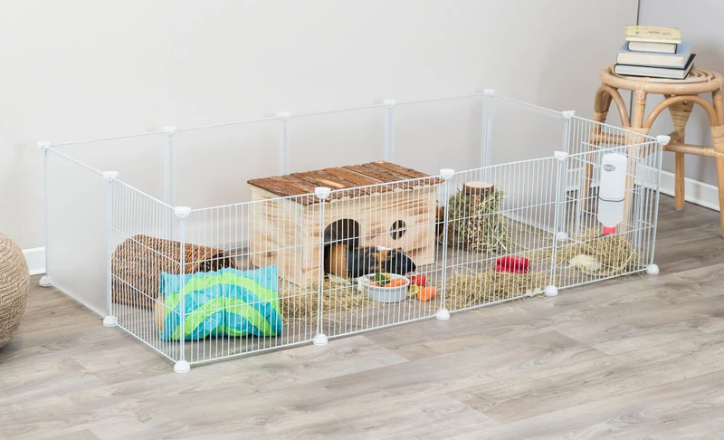 Indoor Freilaufgehege