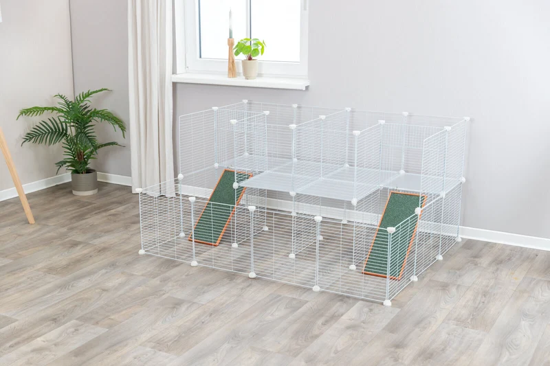 Indoor Freilaufgehege