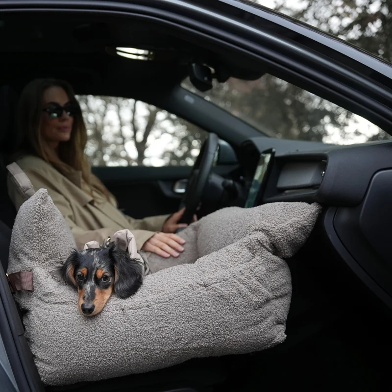 Autositz Lara | Teddy 2.0