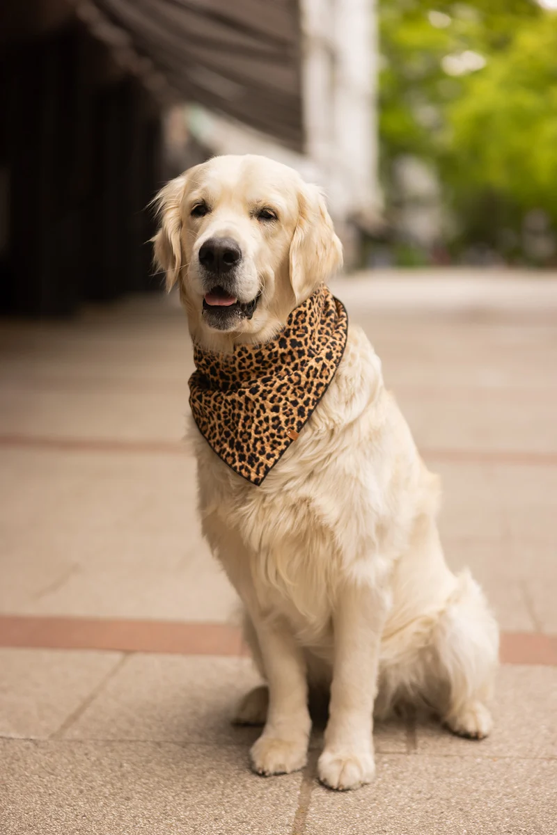 Halstuch "Leo" Black