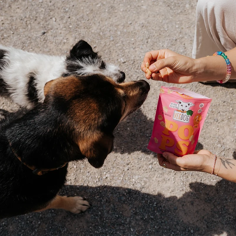 VEGDOG POPS 20g