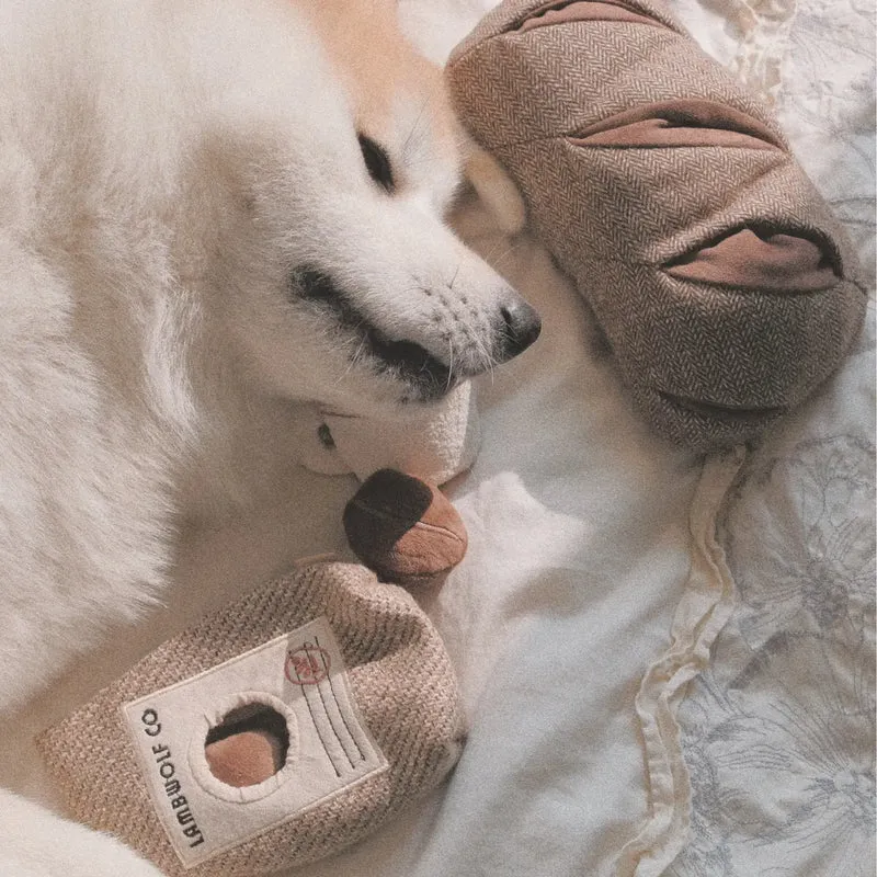Schnüffelspielzeug Kaffeebohnen
