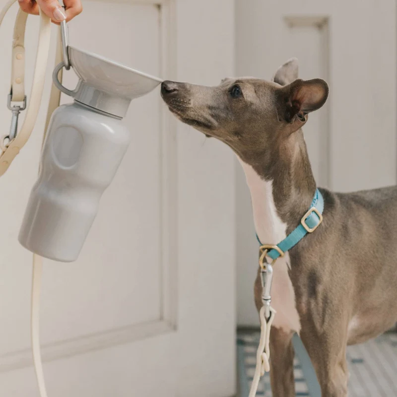 Reiseflasche Klassik für Hunde 650ml Grau