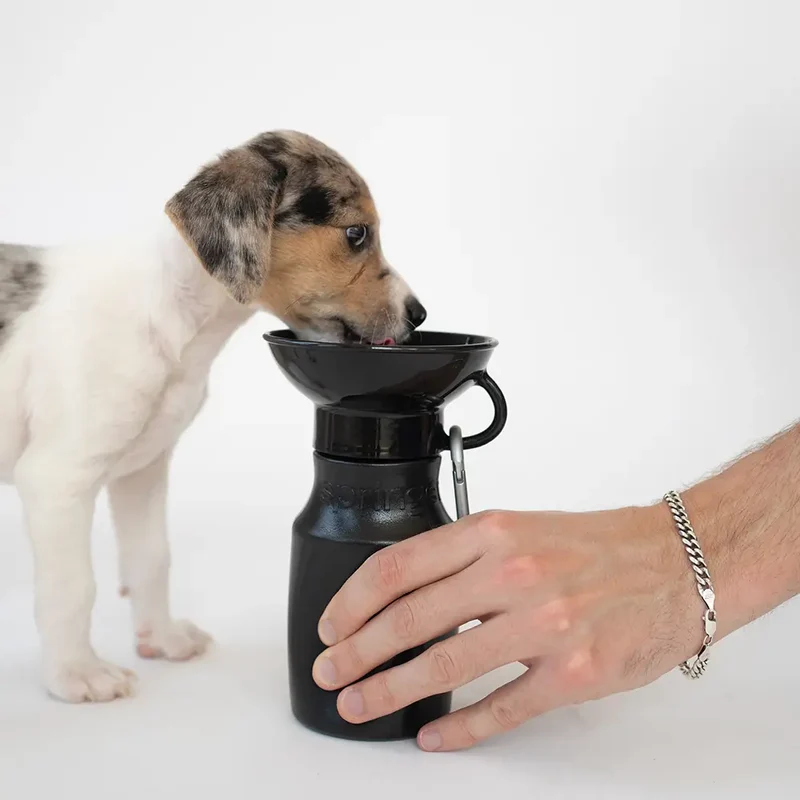 Mini-Reiseflasche für Hunde 440ml Schwarz