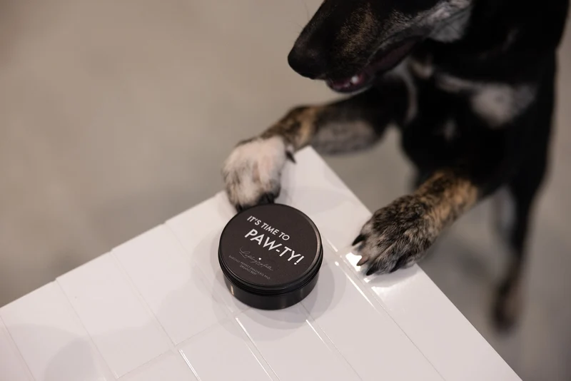Party Snacks - "IT´S TIME TO PAW-TY" - Bio Rind 60g