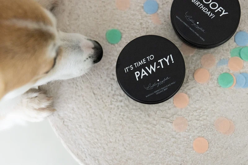 Party Snacks - "IT´S TIME TO PAW-TY" - Bio Rind 60g