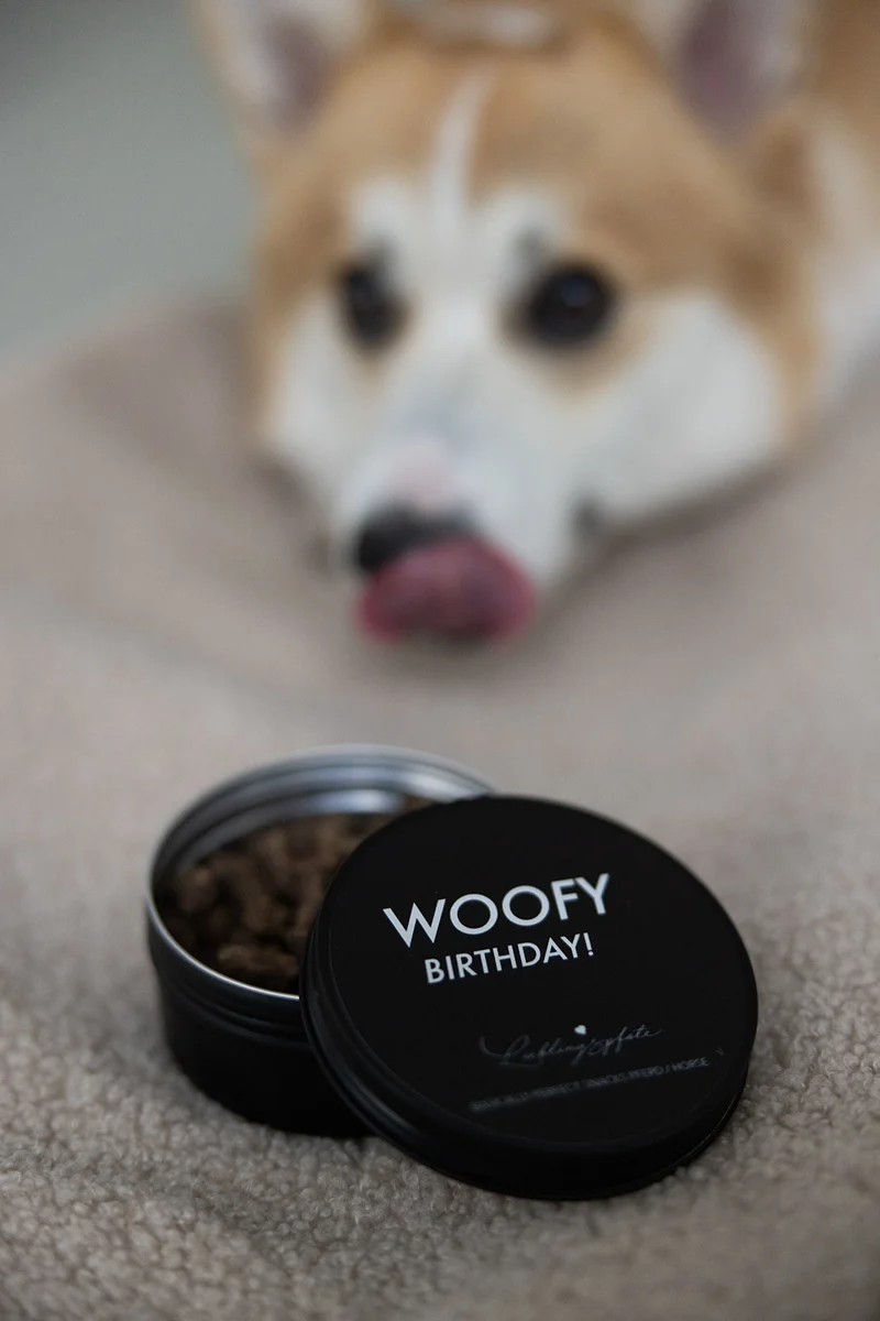 Party Snacks - WOOFY BIRTHDAY - Pferd 60g