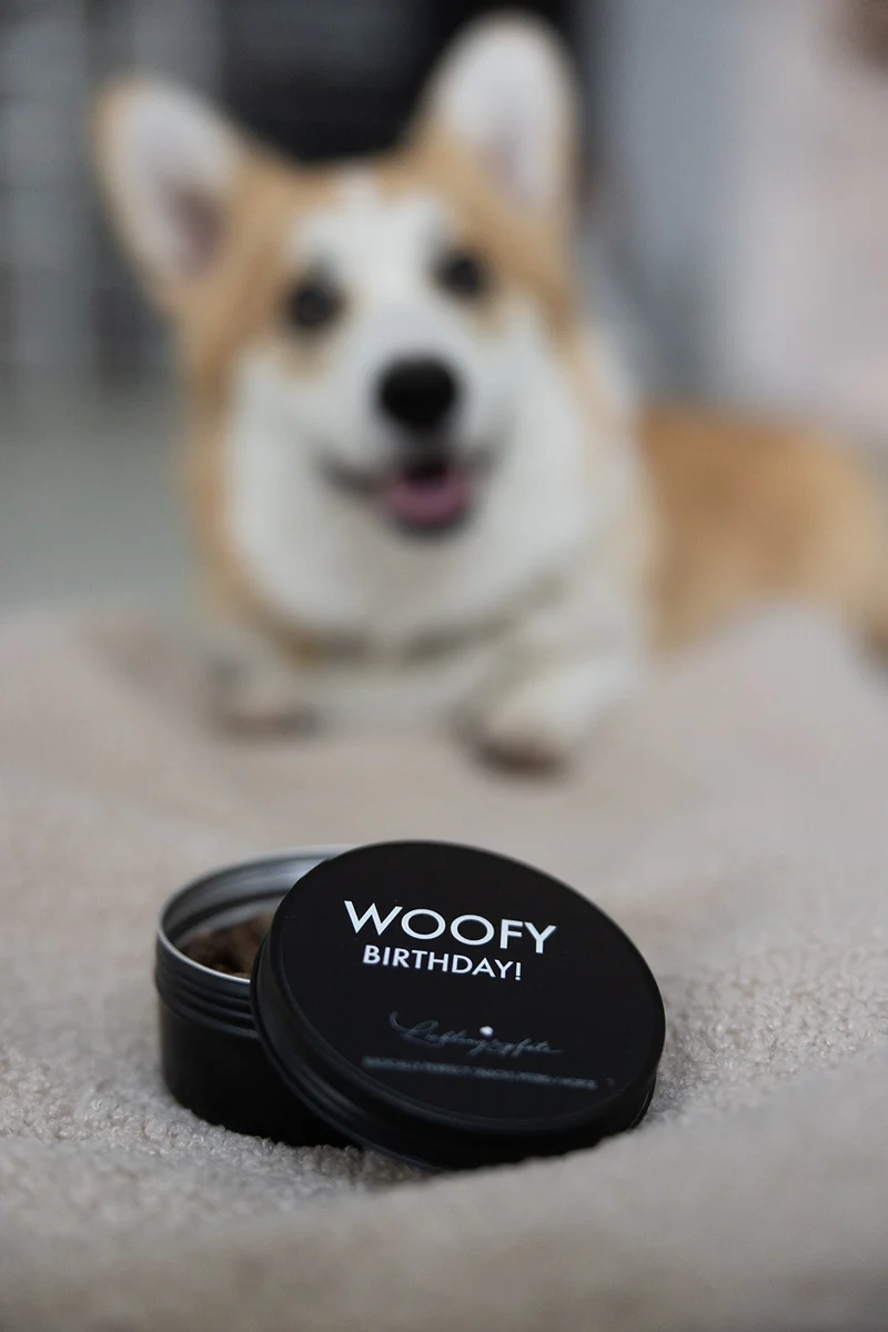 Party Snacks - WOOFY BIRTHDAY - Pferd 60g
