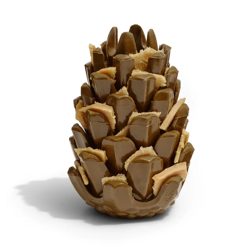 Loblolly Pinecone Tannenzapfen