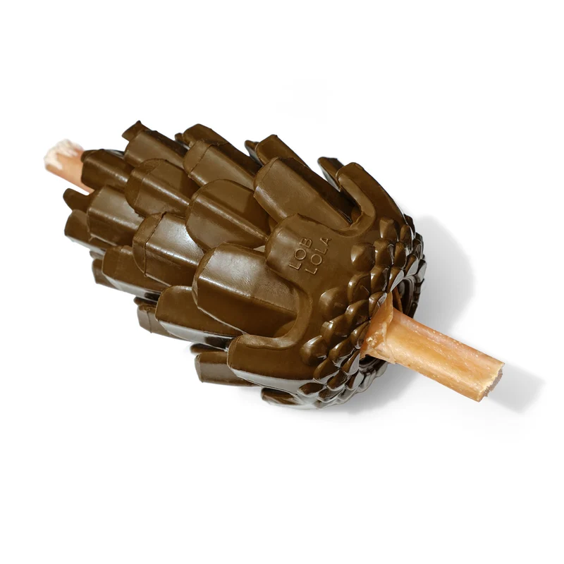 Loblolly Pinecone Tannenzapfen