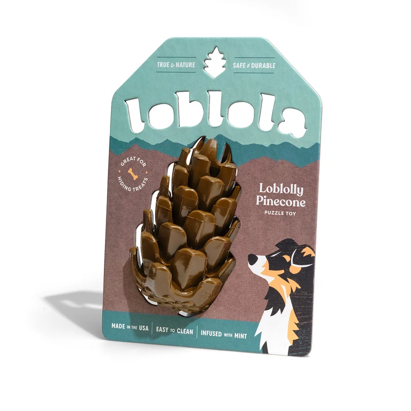 Loblolly Pinecone Tannenzapfen