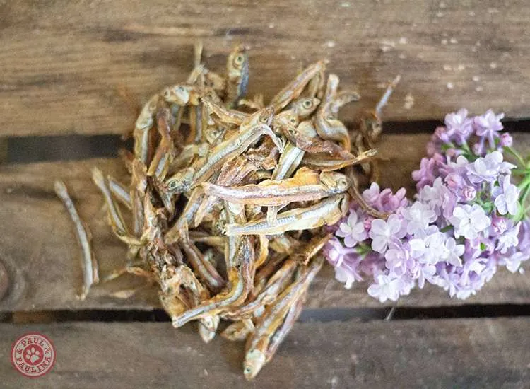 Sprotte luftgetrocknet 200g