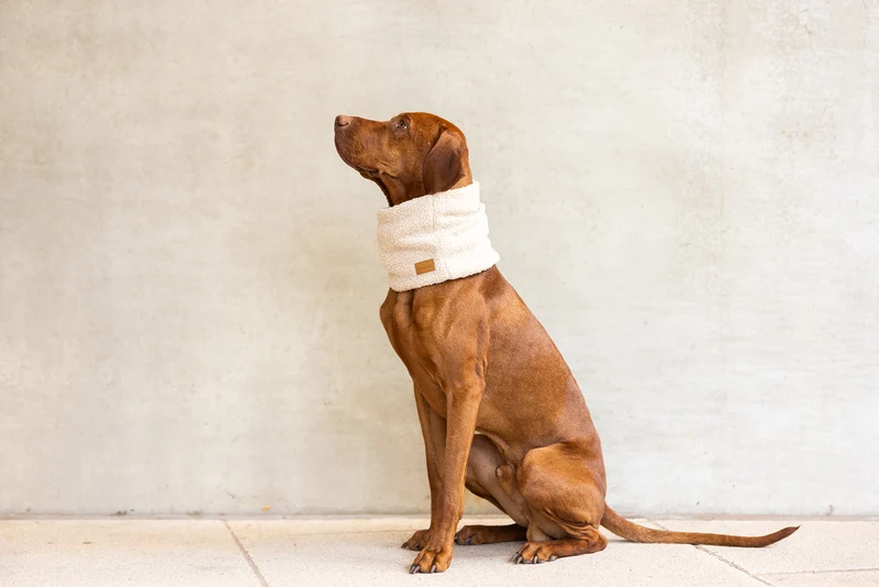 Hundeloop Teddy Beige