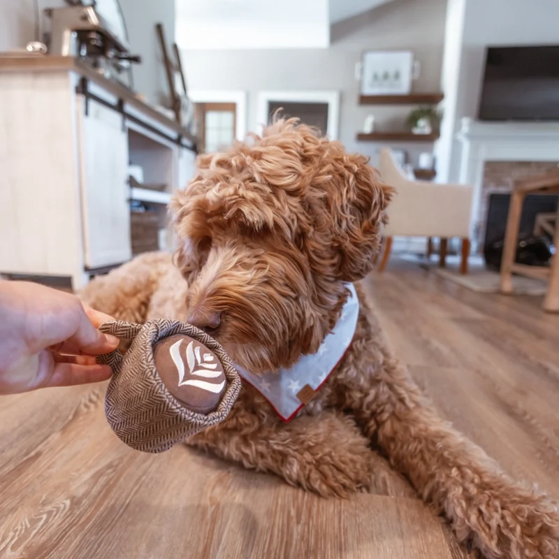 Schnüffelspielzeug Latte Pop