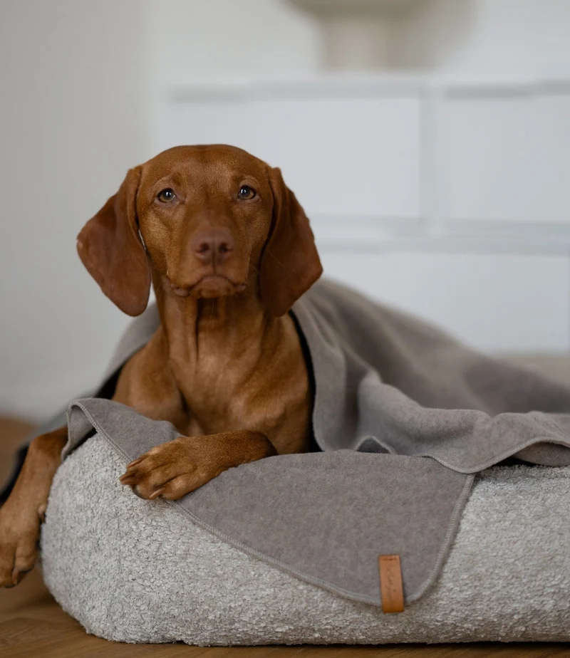 Fleecedecke Beige