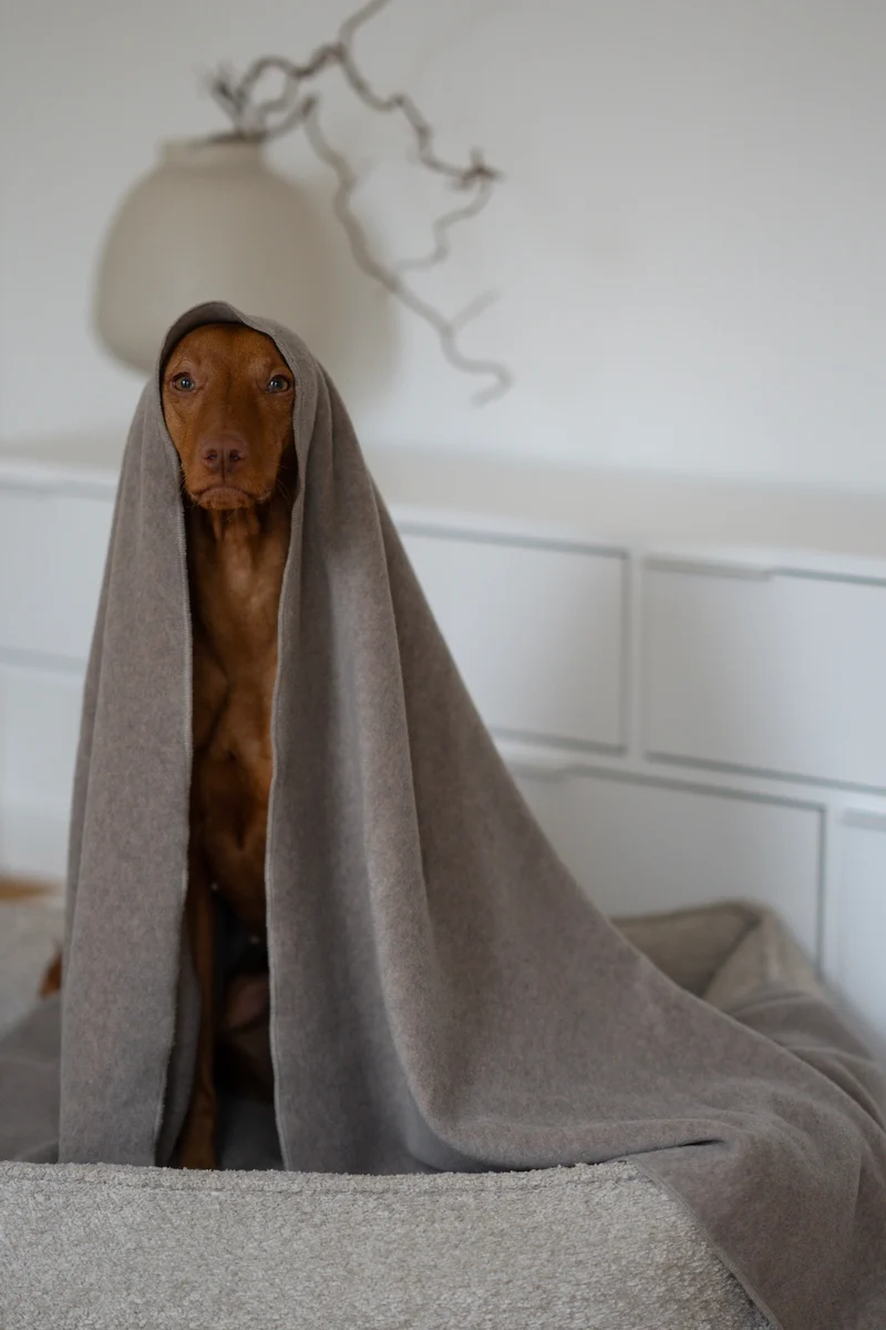 Fleecedecke Beige