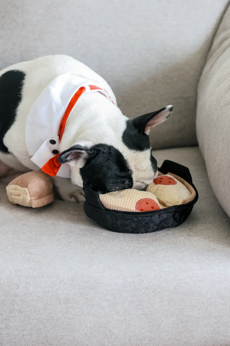 DEEP DISH PIZZA HUNDESPIELZEUG