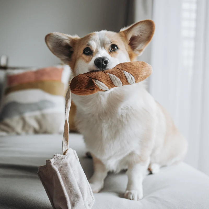 BAGUETTE Mini