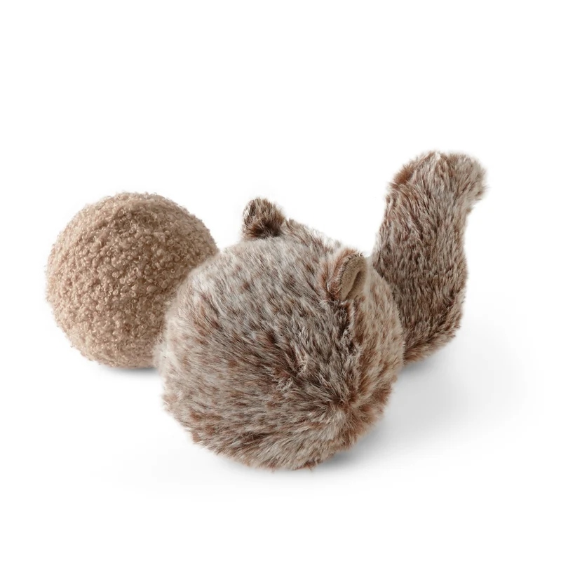 Eichhörnchen POP