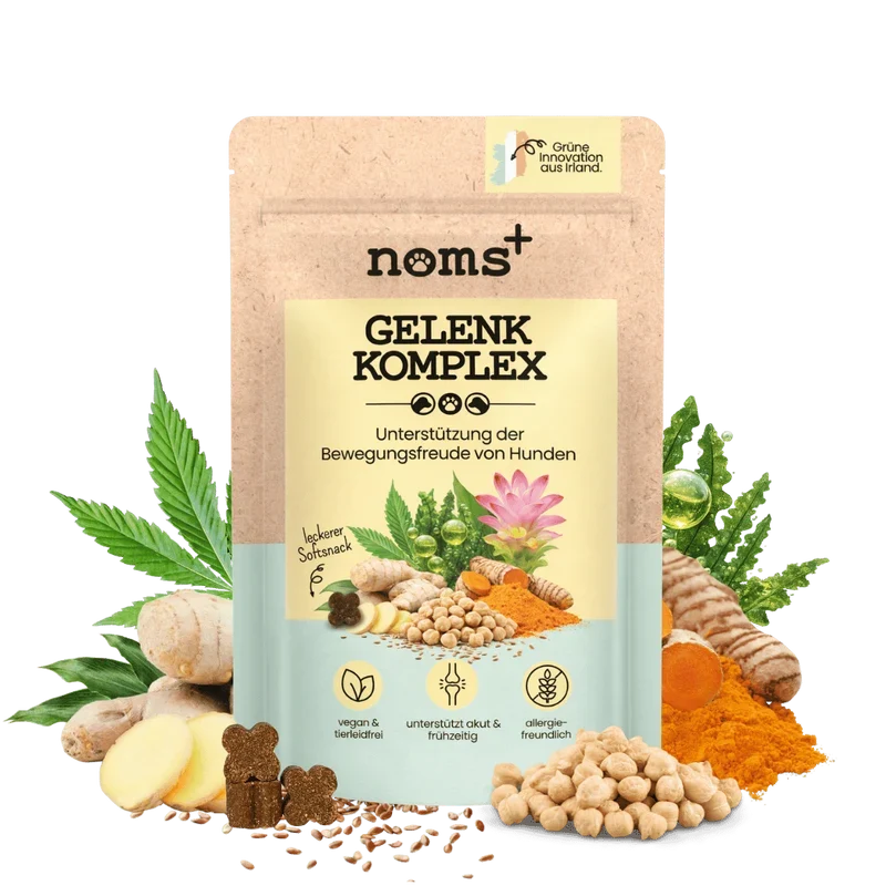 Noms+ Gelenk-Komplex für Hunde | natürliche Gelenkunterstützung | Snacks mit Glucosamin, MSM und Kurkuma | Vegan & tierleidfrei | 200g
