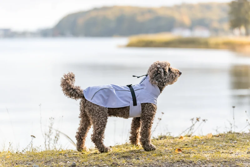 TRIXIE Hunde Regenmantel Vimy – wasserdicht, mit Bauchschutz & Reflektoren | Pink, Flieder & Orange