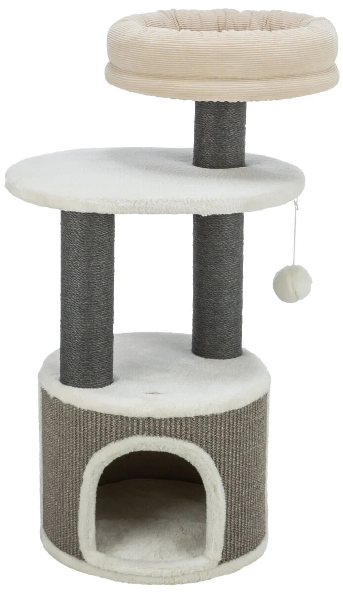 Kratzbaum Marco