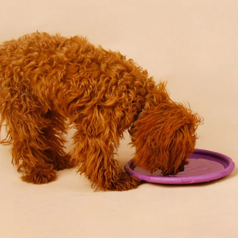 Kauresistentes Gummi-Frisbee