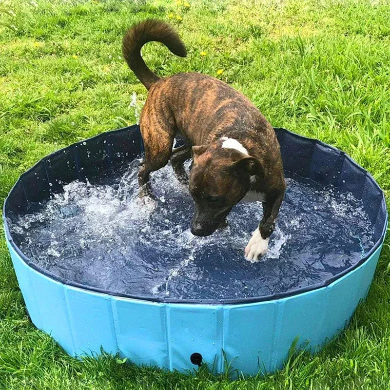 Hundepool