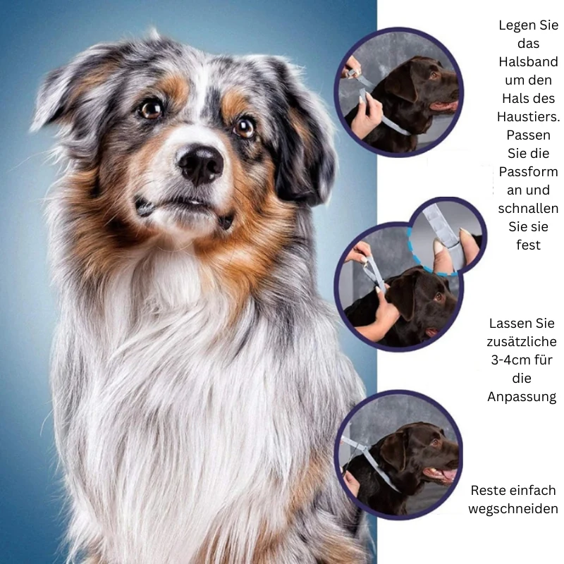 Floh- und Zeckenhalsband