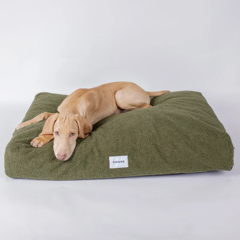 Hundebett Teddy von Caruso - orthopädisch & recycelt - Oeko-Tex® Standard - 3 Farben & Größen