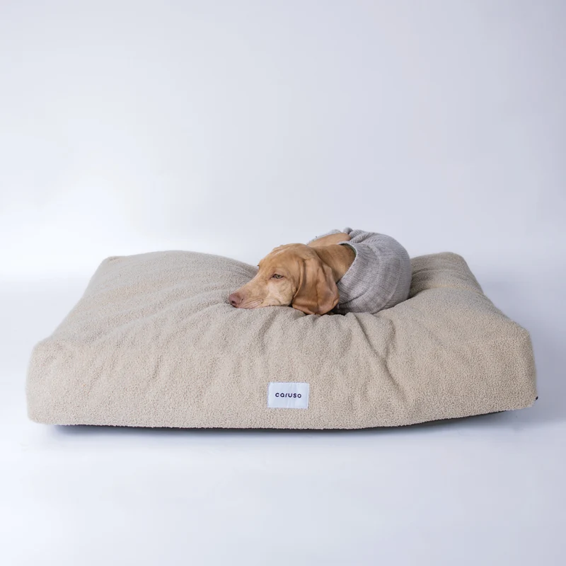 Hundebett Teddy von Caruso - orthopädisch & recycelt - Oeko-Tex® Standard - 3 Farben & Größen
