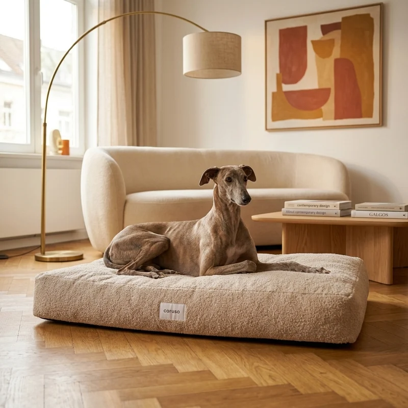 Hundebett Teddy von Caruso - orthopädisch & recycelt - Oeko-Tex® Standard - 3 Farben & Größen