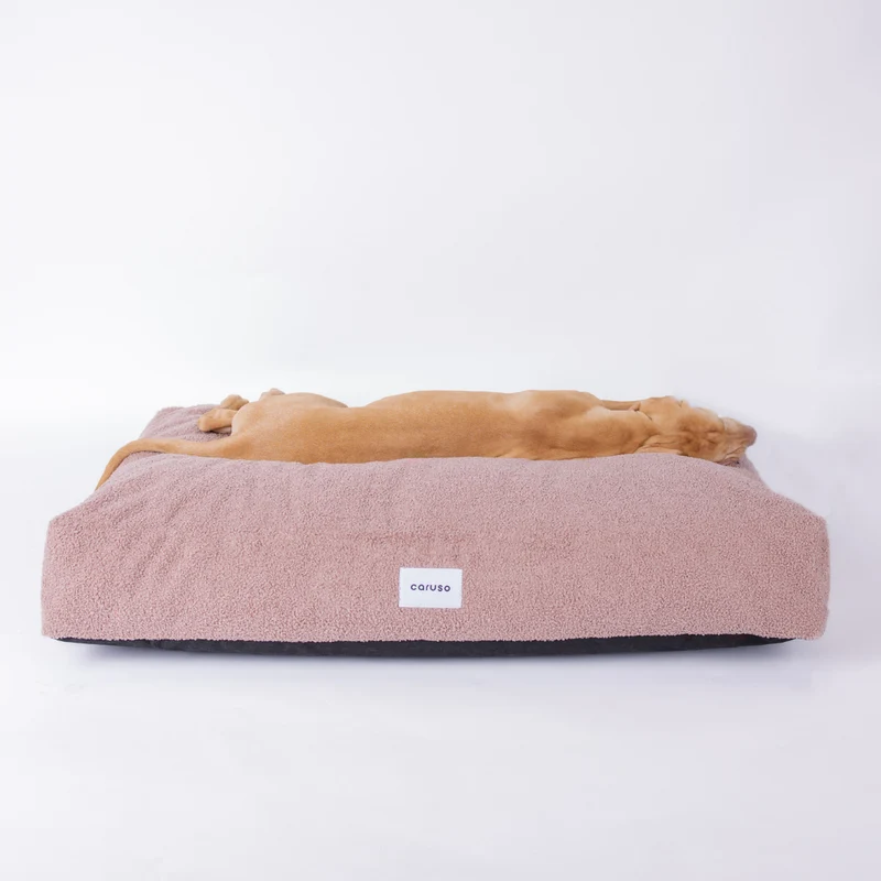 Hundebett Teddy von Caruso - orthopädisch & recycelt - Oeko-Tex® Standard - 3 Farben & Größen