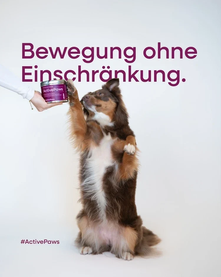 ActivePaws für Hunde von BetterPaws - Pulver für Knochen & Gelenke - 250g