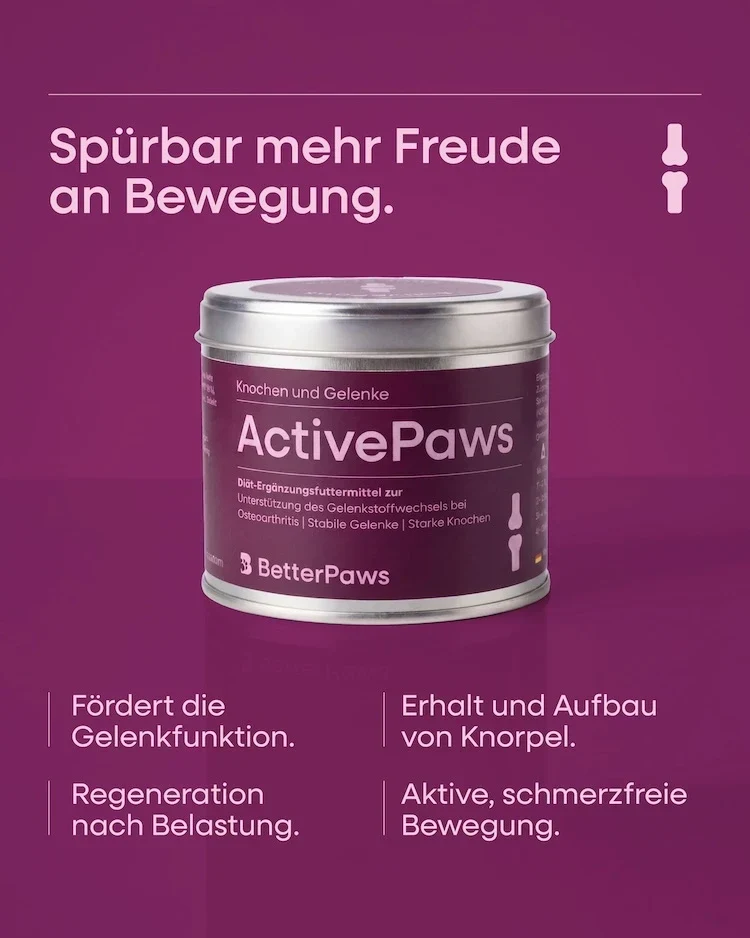 ActivePaws für Hunde von BetterPaws - Pulver für Knochen & Gelenke - 250g