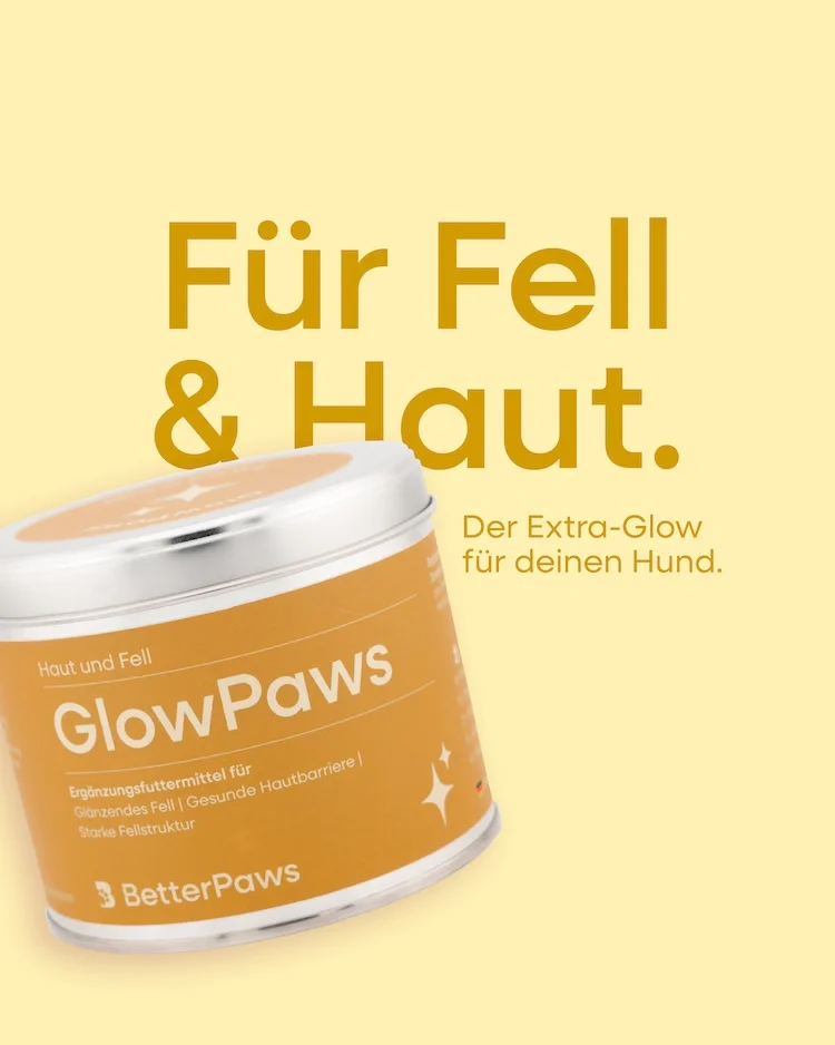 GlowPaws für Hunde von BetterPaws - Pulver für Haut und Fell - 250g