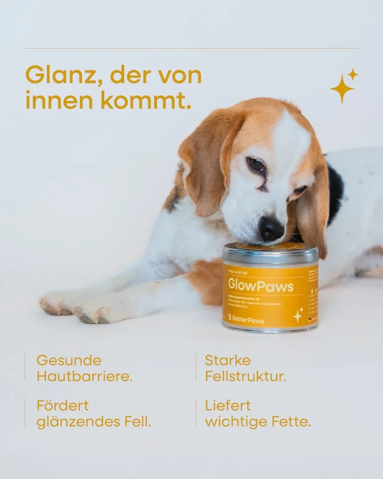 GlowPaws für Hunde von BetterPaws - Pulver für Haut und Fell - 250g