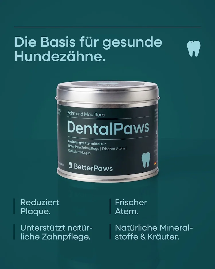 DentalPaws für Hunde von BetterPaws - Pulver für Zahn und Maulflora - 250g