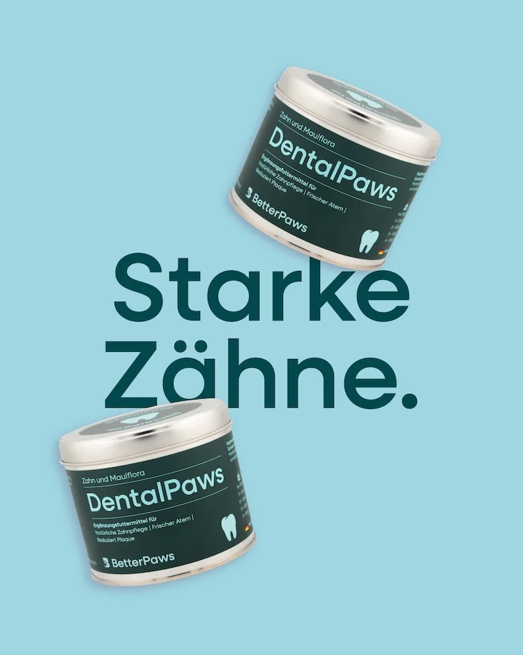 DentalPaws für Hunde von BetterPaws - Pulver für Zahn und Maulflora - 250g