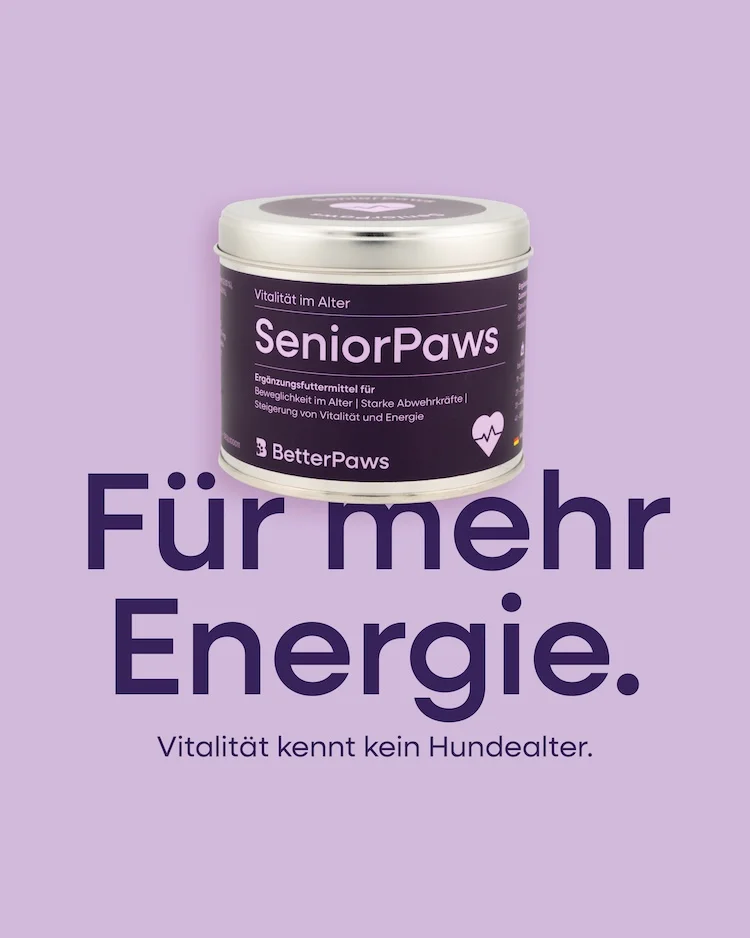 SeniorPaws für Hunde von BetterPaws - Pulver für Vitalität im Alter - 250g