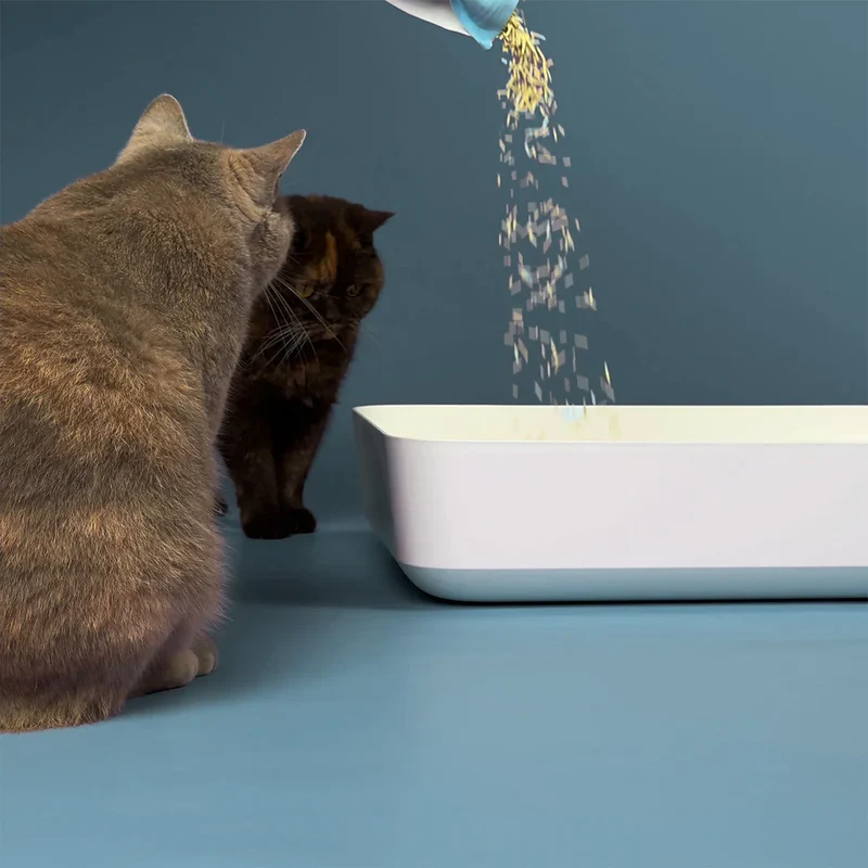 2x17L Nachhaltiges Katzenstreu Tofu Natural von HOOPO® | 100% Tofu | Blitzschnelle Klumpenbildung