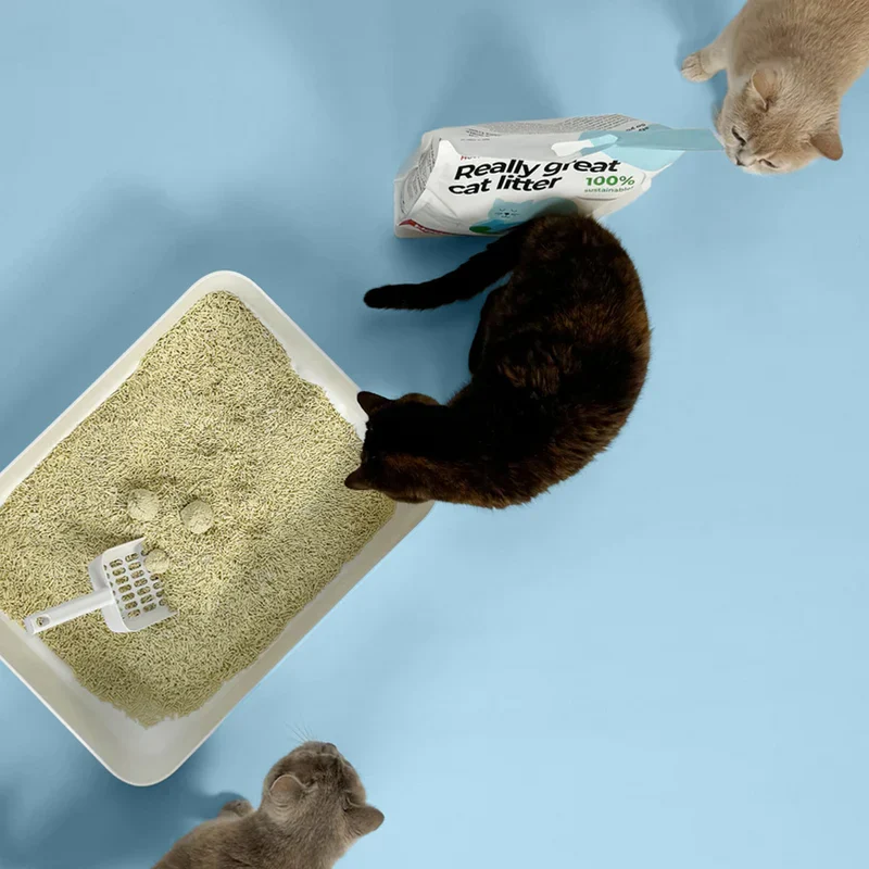 2x17L Nachhaltiges Katzenstreu Tofu Natural von HOOPO® | 100% Tofu | Blitzschnelle Klumpenbildung