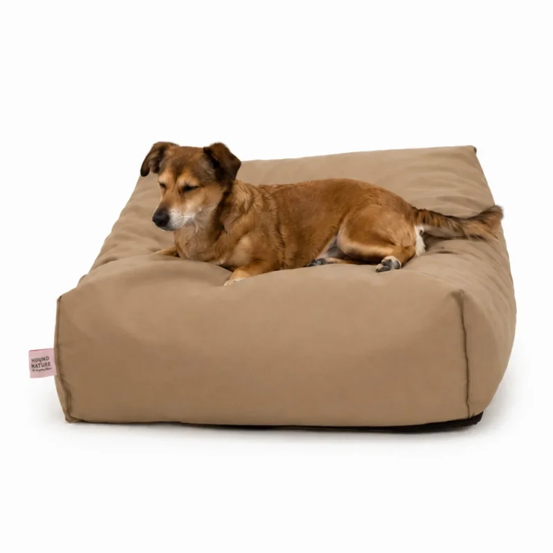 Orthopädisches Hundekissen BUDDYstyle HOUND&NATURE | Härtegrad variierbar | Wasserdicht & recycelt | Taupe
